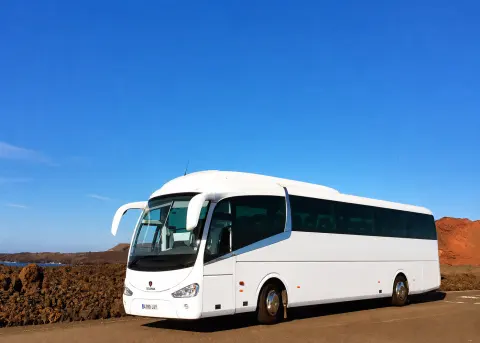 Coach
